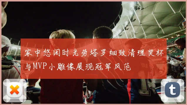 家中悠闲时光劳塔罗细致清理奖杯与MVP小雕像展现冠军风范